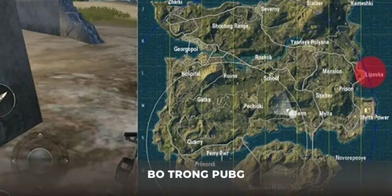 Bo trong PUBG