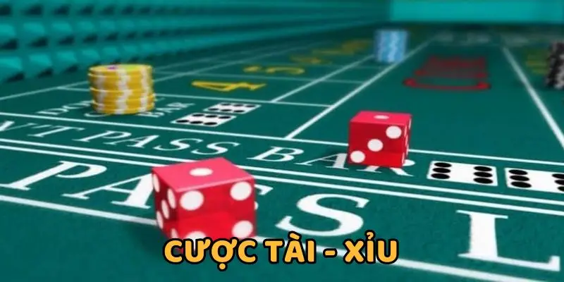 Cách chơi Xí Ngầu theo cửa Tài - Xỉu