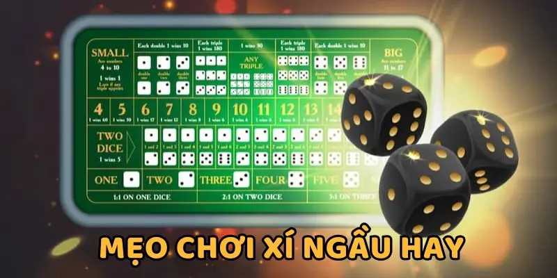 Học hỏi kinh nghiệm chơi xúc xắc trên diễn đàn