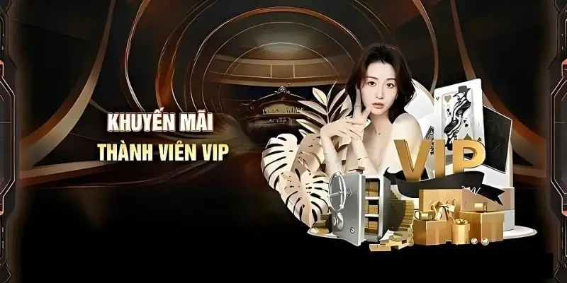 Khuyến mãi VIP vô cùng hấp dẫn